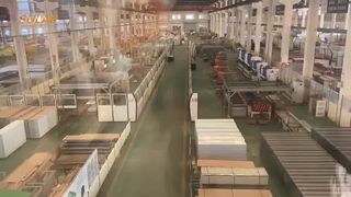 ซีซีพี21